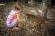 Animals
 - Big Croc Experience ex CNS Beaches Hartleys Crocodile Adventures