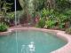Pool - Heritage Lodge in the Daintree