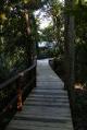 Walk ways around the Lodge - Heritage Lodge in the Daintree