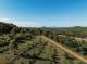 Farm Aerial View
- High Valley Dawn Permaculture Farm
