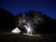 Glamping night view
- Kawakawa Station