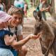 Australia Zoo Wildlife Experiences - Sunshine Coast Hinterland & Wildlife Kiff & Culture