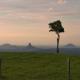 One Tree Hill - Sunshine Coast Hinterland & Wildlife Kiff & Culture