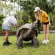 Australia Zoo Wildlife Experiences - Sunshine Coast Hinterland & Wildlife Kiff & Culture