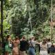 Rainforest Skywalk - Tamborine Hidden Gems - ex Brisbane Kiff & Culture