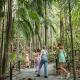 Rainforest Skywalk - Tamborine Hidden Gems - ex Gold Coast Kiff & Culture