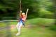 Flying Fox 
 - O'Reilly's Rainforest Retreat