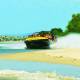 Beach
 - 55 minute Jet Boat Adventure Ride Paradise Jetboating