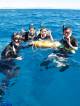 Snorkel
 - 1 Day Outer Reef Experience - 2 certified Dive ex CNS Passions Of Paradise