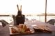 Dining - Pier One Sydney Harbour