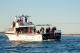 Great viewing from all areas of the vessel
 - Kalbarri Sunset Coastal Cliff Cruise Reefwalker Ocean Discovery