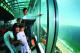 SkyPoint Observation Deck
 - Skypoint 1 Day Ticket SkyPoint
