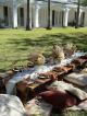 Picnic 4 - Luxurious pop up picnic at Noosa Botanic gardens, Noosa SOULFUL PASSIONS