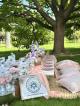 Picnic 5 - Luxurious pop up picnic at Noosa Botanic gardens, Noosa SOULFUL PASSIONS