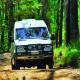 Mt Tamborine Tour
 - Beginners Learn to Surf Lesson Australian Surfing Adventures