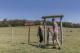 Hiking
 - Spicers Peak Lodge