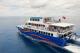 Tropic Sunseeker
 - Moore Reef Day Tour ex Northern Beaches Hotels Sunlover Reef Cruises