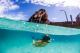 Snorkelling the Wrecks - Tangalooma Island Resort
