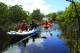 Remote Fraser Island Day Tour
 - Remote Fraser Island Tour - Whale Season - RFIW Tasman Venture