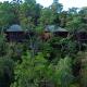Accommodation amongst the forest - Thala Beach Nature Reserve