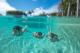 heated lagoon pool - The Retreat Beach Houses