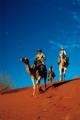 Tour - Camel Ride - Voyages Sails In The Desert