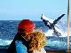 
 - See Moreton - Dolphin & Tangalooma Wrecks Cruise ex BNE CBD See Moreton